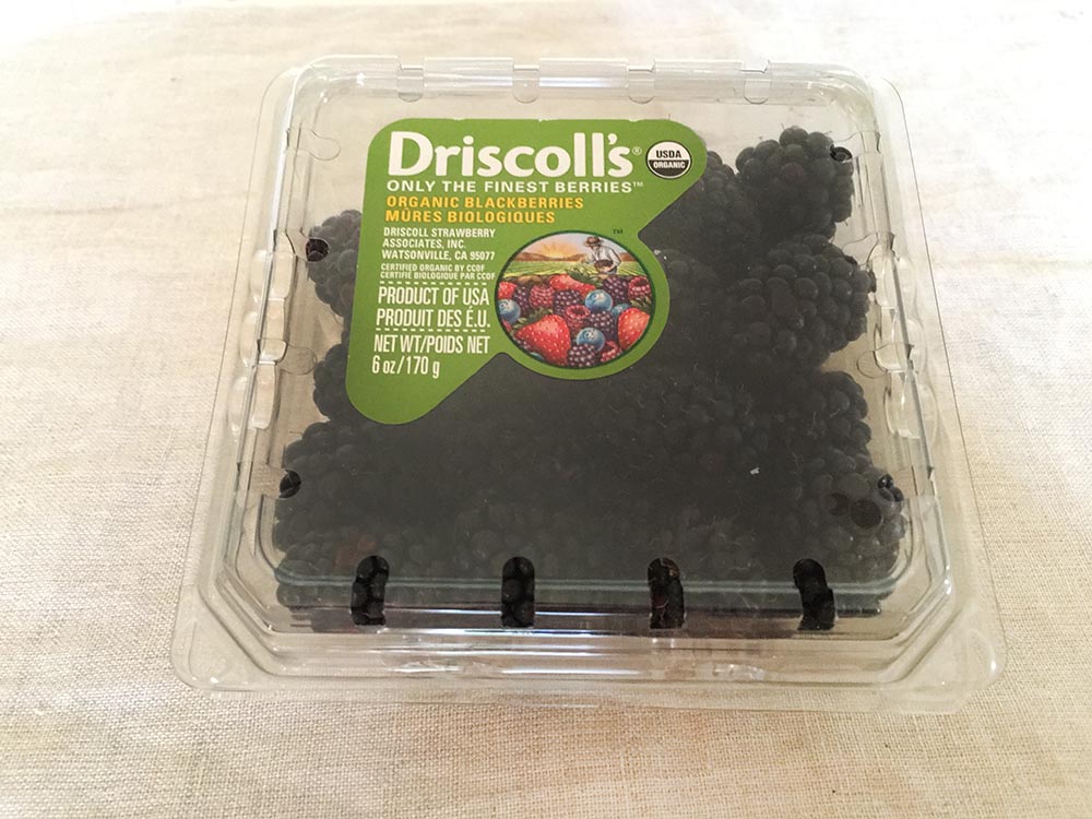Driscolls Organic Blackberries